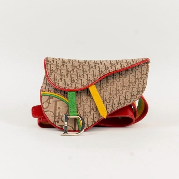 Dior Rasta Trodder Saddle Belt Bag - Picture 1 of 6